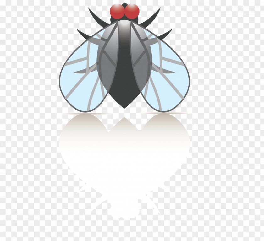 Cartoon Black Pest Flies Insect Clip Art PNG