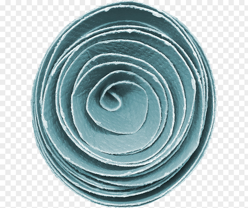 Circle Spiral PNG