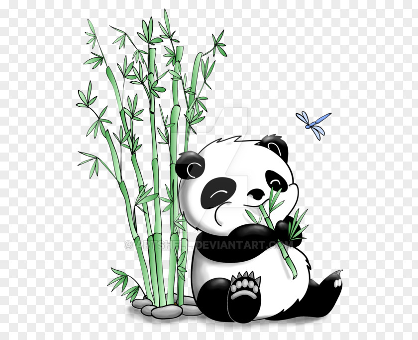 Eating Giant Panda Bamboo Drawing Bear Clip Art PNG