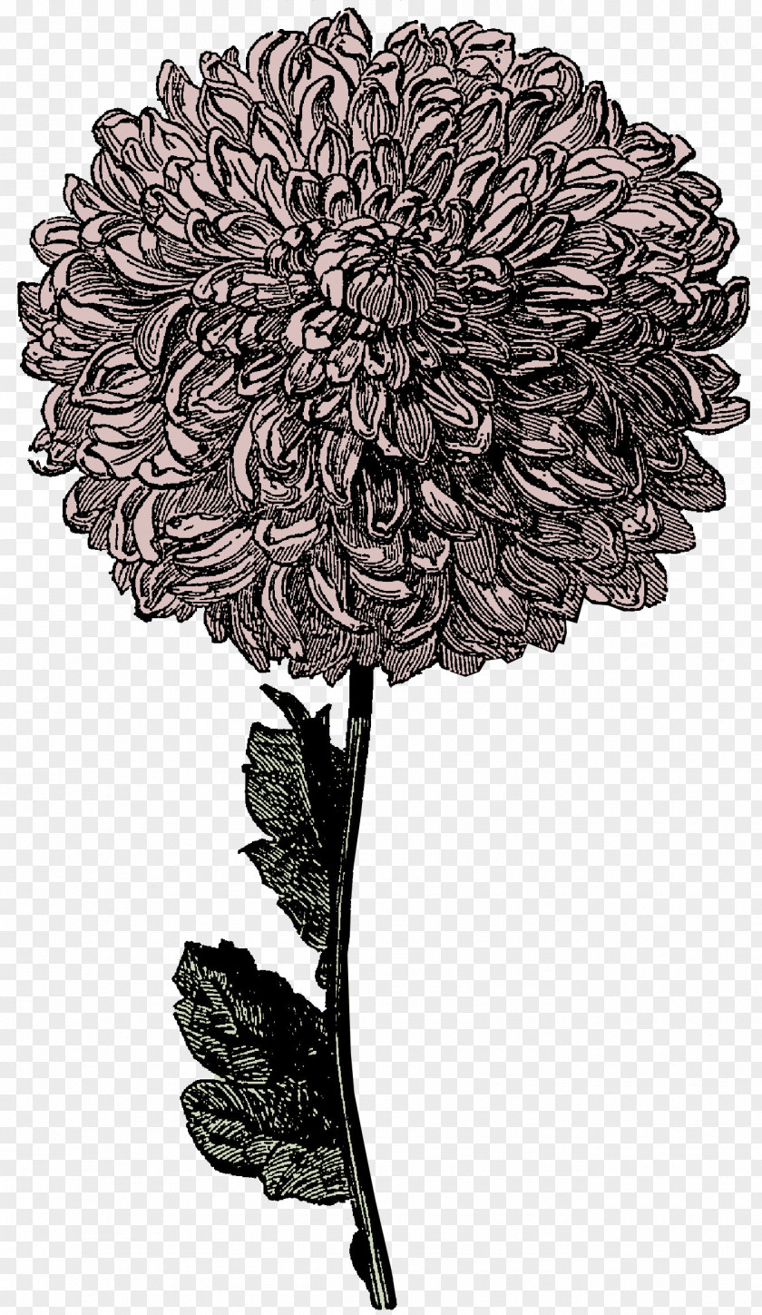 Frozen Flower Cliparts Victorian Era Drawing Clip Art PNG