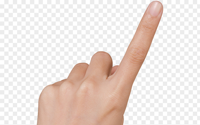 Hand Shake Model Finger Thumb PNG