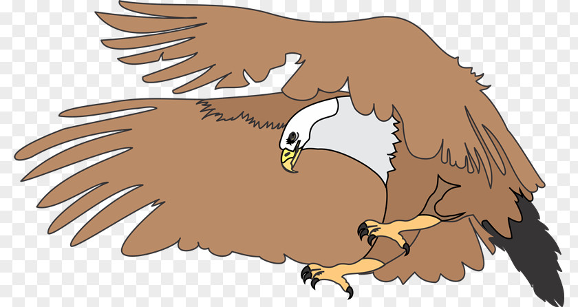 Qm Bald Eagle Drawing Download PNG