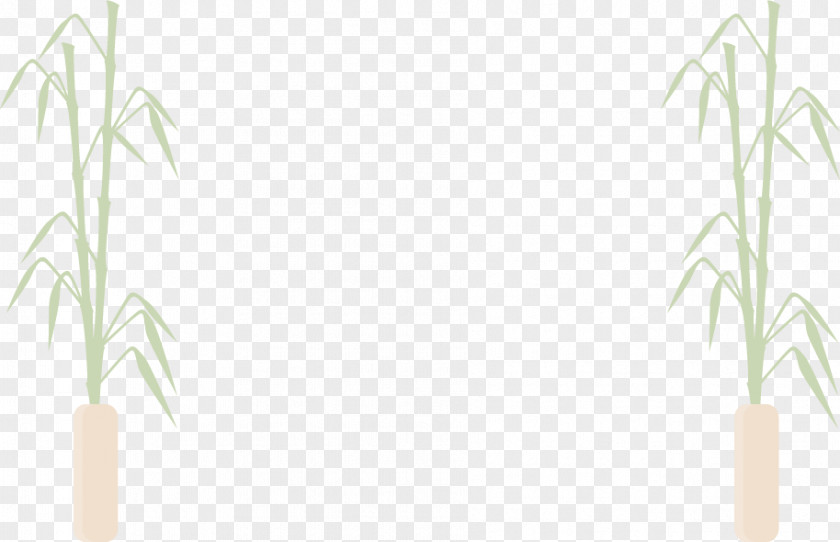 Vector Hand-painted Bamboo Grasses Plant Stem PNG