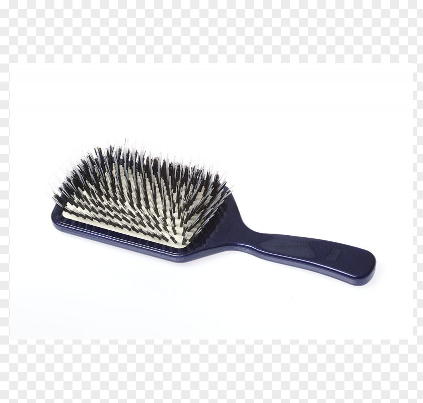 Blue Brushes Hairbrush Comb Great Lengths PNG