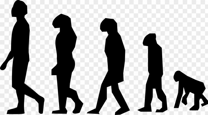 Evolution Vertebrate Organism Neanderthal Human PNG