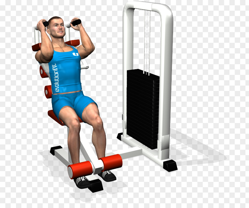 Exercise Machine Crunch Physical Fitness Shoulder Rectus Abdominis Muscle Abdominal External Oblique PNG