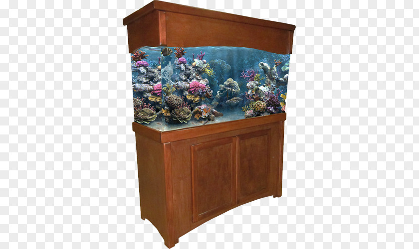 Fish Tank Aquariums Pet Aquarium Furniture Sump PNG