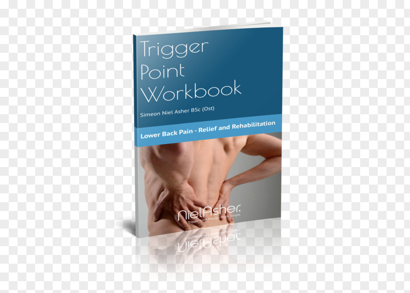 Low Back Pain The Trigger Point Therapy Workbook Myofascial Human PNG