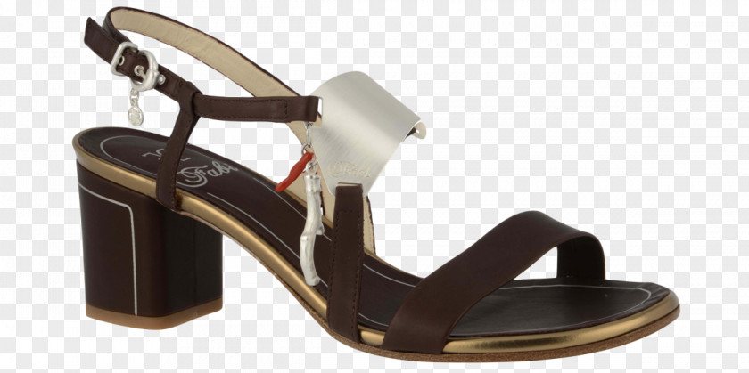 Sandal Slide Shoe PNG