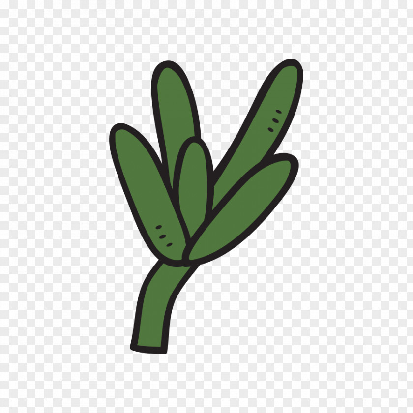 Simple Brush Plant Leaf Succulent Cactaceae PNG