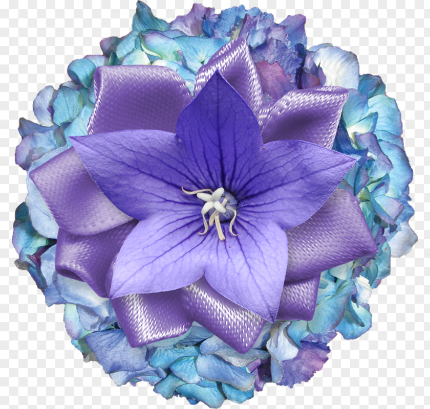 Flower Cut Flowers Hydrangea Bouquet Petal PNG