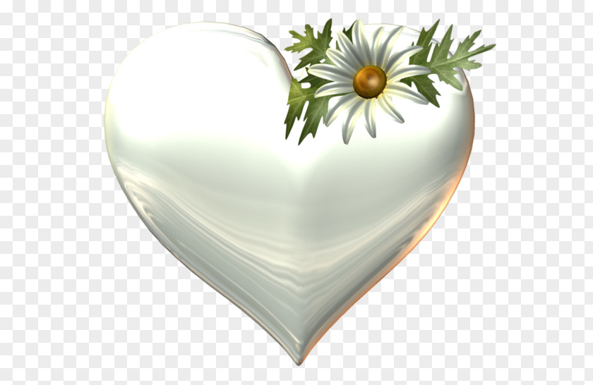 Heart Idea PNG