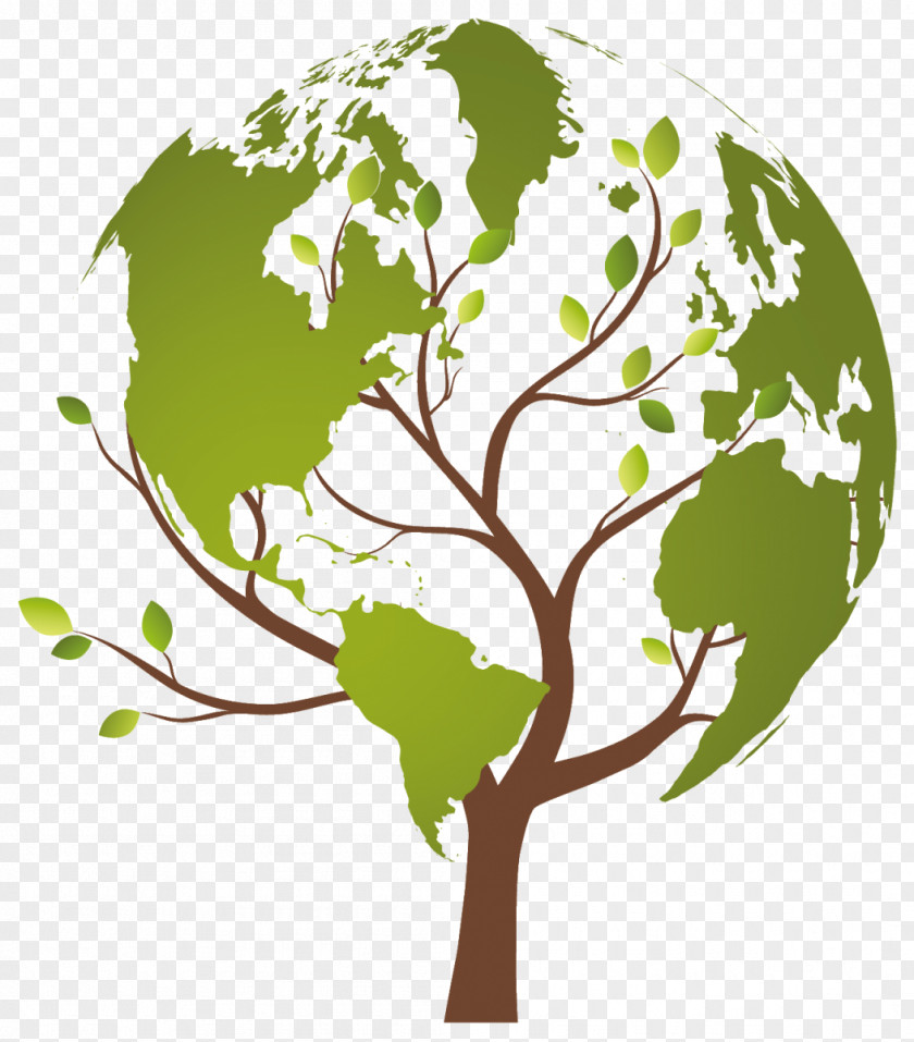 Organic Tree World Map PNG