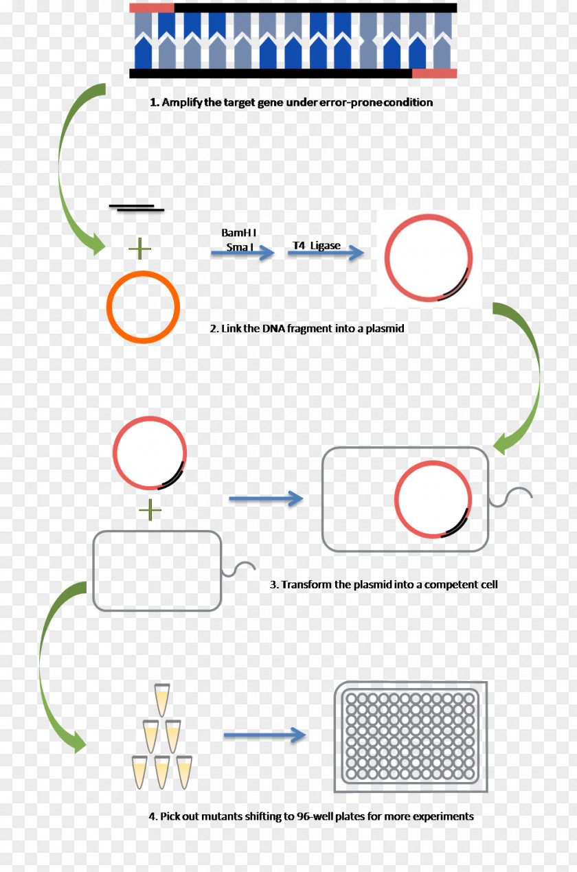 PCR International Genetically Engineered Machine Promoter Lac Operon Polymerase Chain Reaction PNG