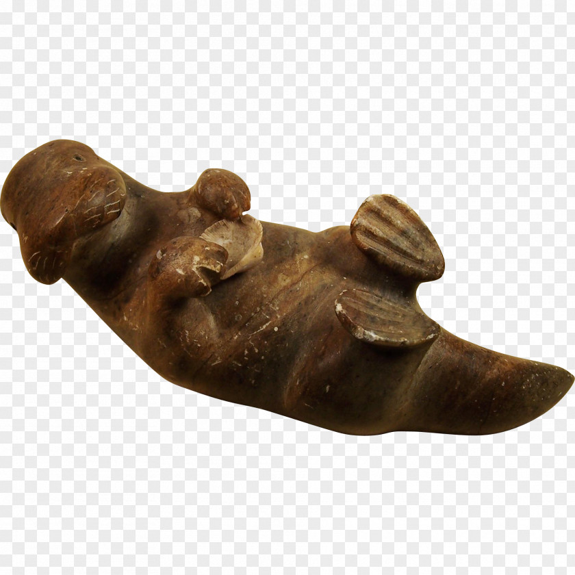 Seashell Bronze Metal Snout PNG