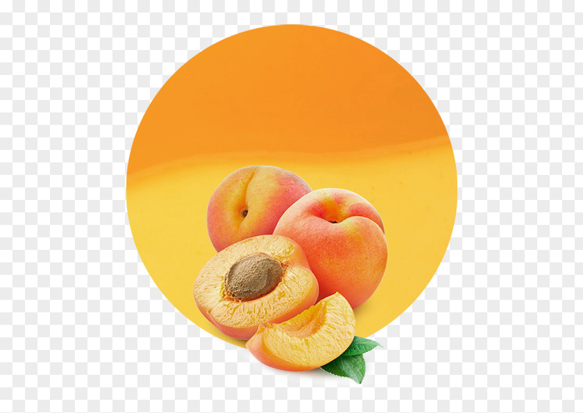 Apricot Kernel Flavor Dried PNG