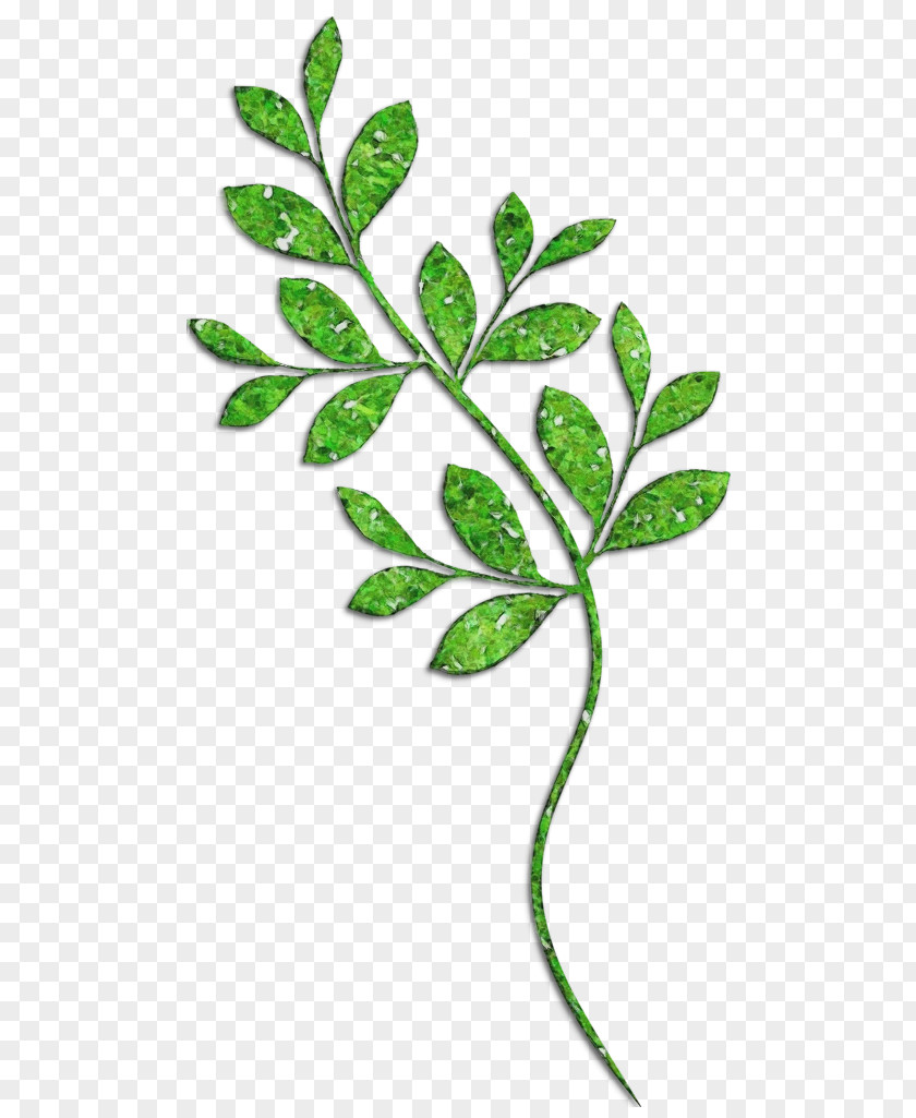 Branch Woody Plant Leaf Flower Green Tree PNG