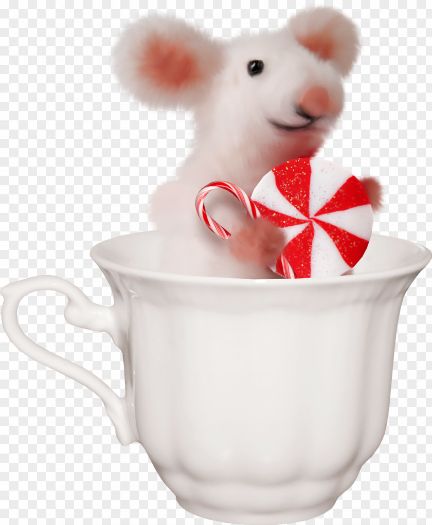 Mouse Free Download Muroidea Cup PNG