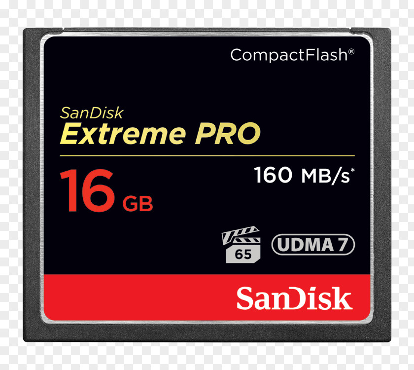 Camera CompactFlash Nikon D5 Flash Memory Cards SanDisk PNG