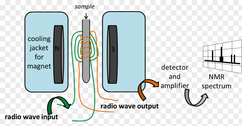 Wave Nuclear Magnetic Resonance Spectroscopy Spin Proton Atomic Nucleus PNG