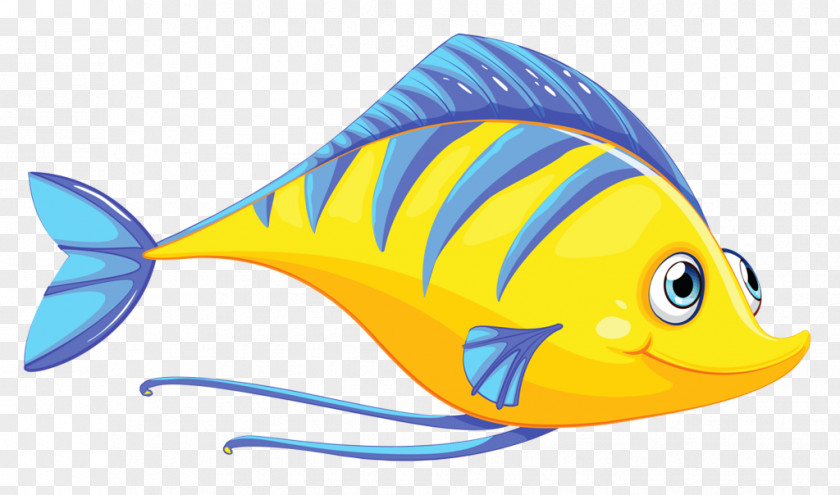Bonyfish Marine Biology Fish Pomacanthidae Yellow Pomacentridae PNG