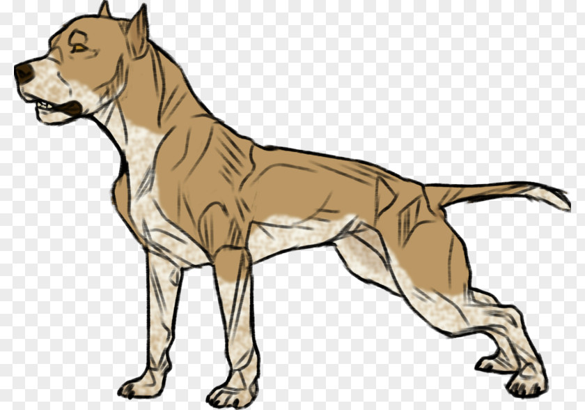 Cat Dog Breed Non-sporting Group Clip Art PNG