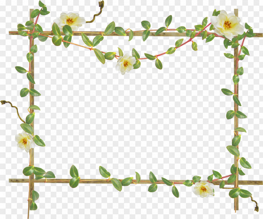 Green Frame Picture Frames Clip Art PNG