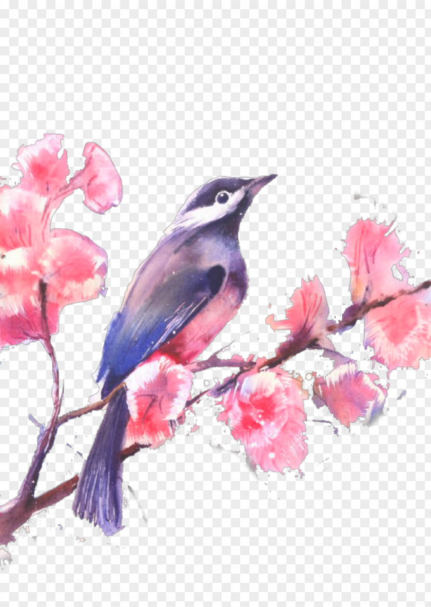 Hummingbird Drawing Watercolor Painting Stock Illustration PNG