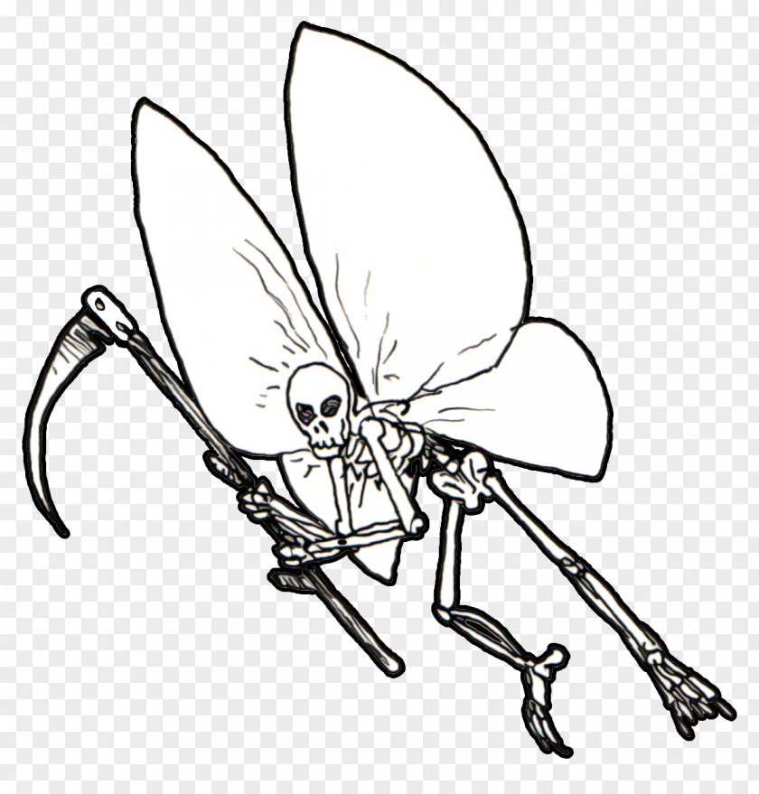 Insect Line Art Cartoon Pollinator Clip PNG