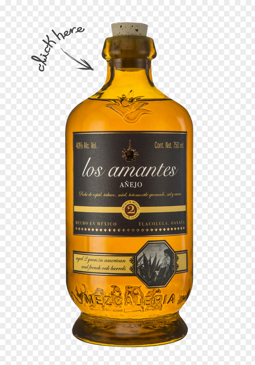 Maguey Liqueur Mezcal Whiskey Tequila Distilled Beverage PNG