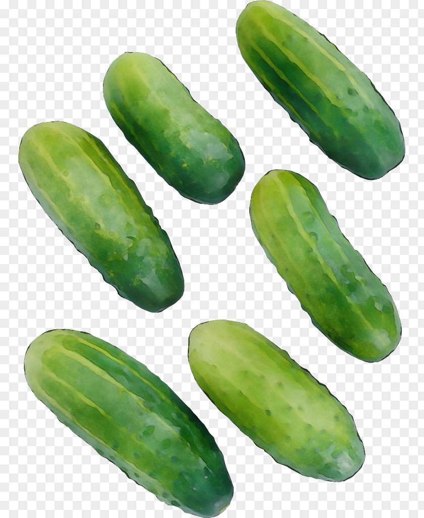 Melon Food Scarlet Gourd Cucumber Cucumis Plant Vegetable PNG