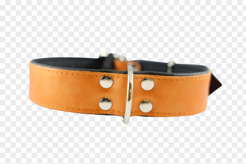 Orange Shopping Cart Belt Dog Collar Buckle PNG