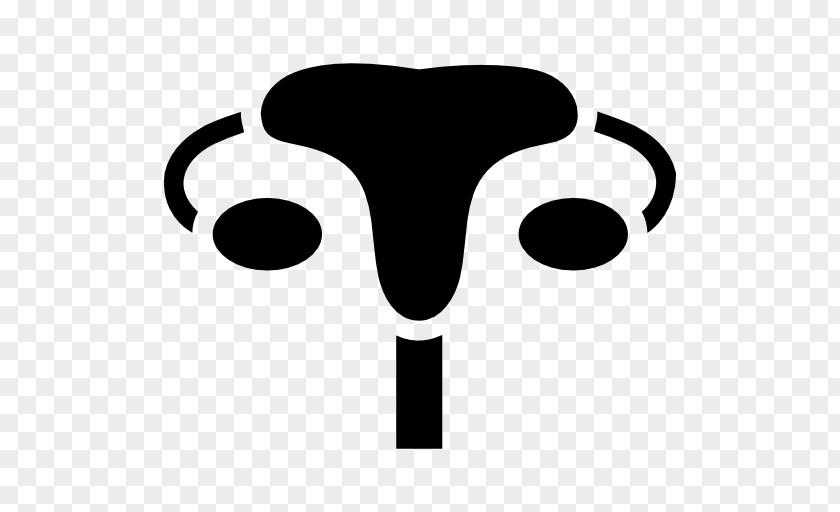 Uterus Icon Female Reproductive System Ovary Fallopian Tube PNG