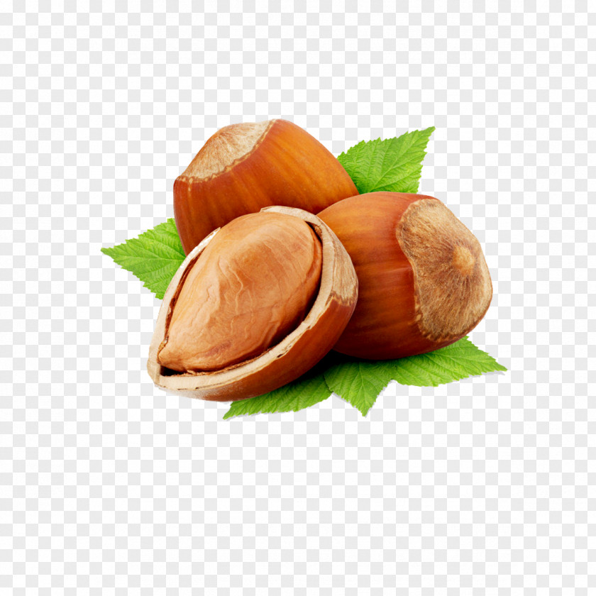 Apricots Common Hazel Hazelnut Nut Roast Vegetarian Cuisine Chestnut PNG
