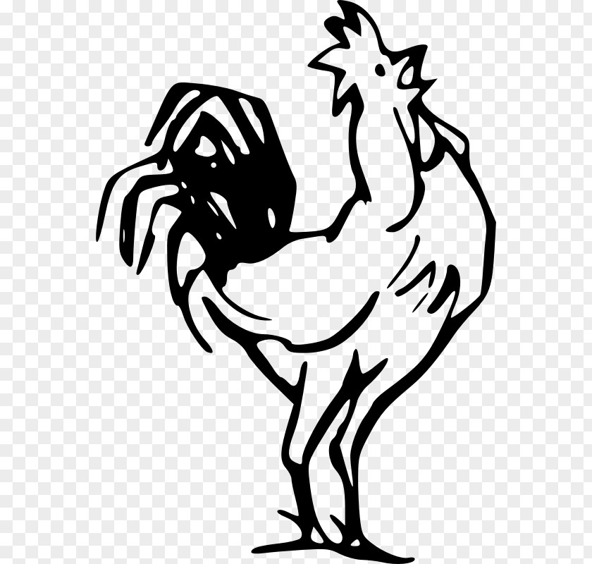 Chicken Outline Rooster Clip Art PNG
