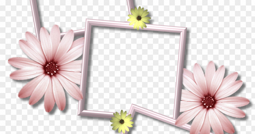 Collage Borders And Frames Picture Clip Art PNG