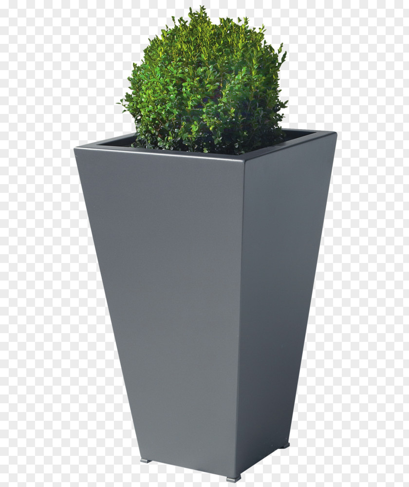 Design Flowerpot Herb Rectangle PNG
