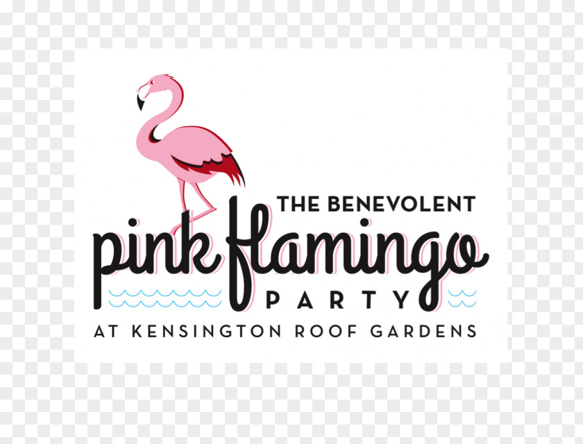 Flamingo Party Logo Brand Beak Greeting & Note Cards Font PNG