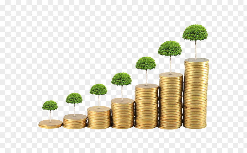 Giving Money Grow Your Tree Saving Investment Finance PNG