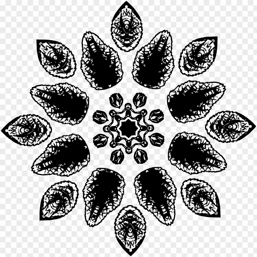 Leaf White PNG