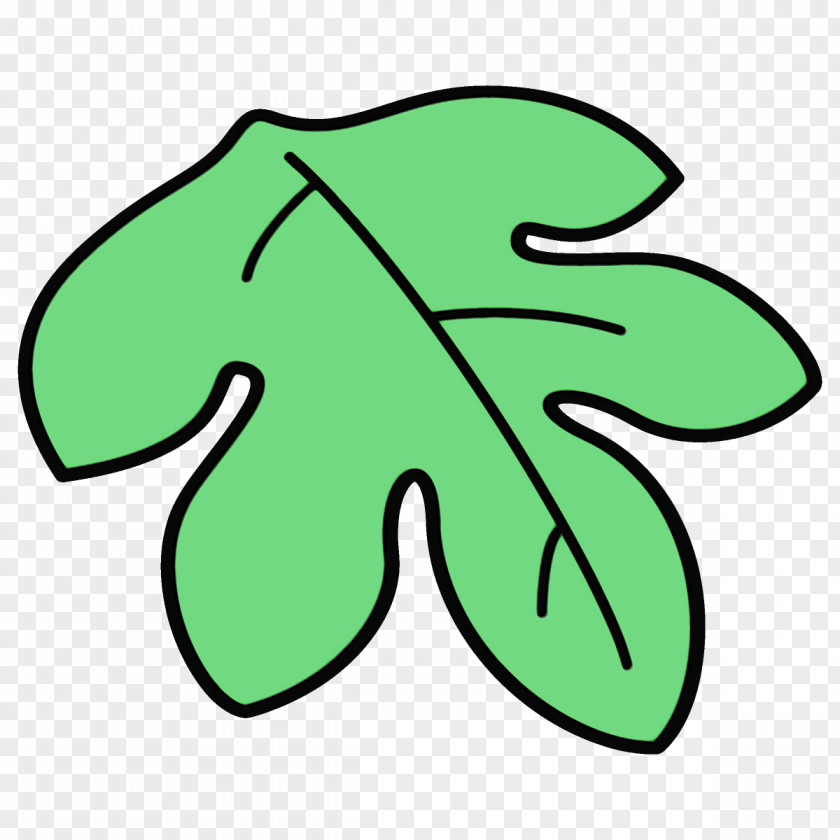 Line Art Symbol Green Leaf PNG