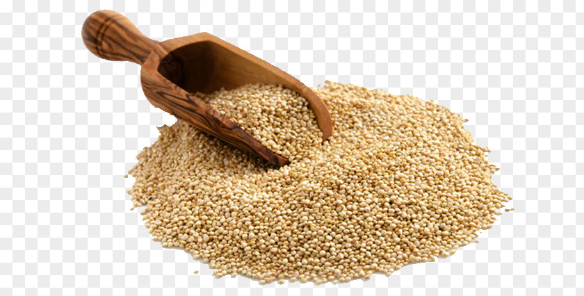 Quinoa Cereal Germ Whole Grain Food PNG