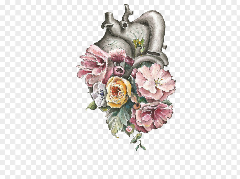 Flower Anatomy Of The Heart Lungs And PNG