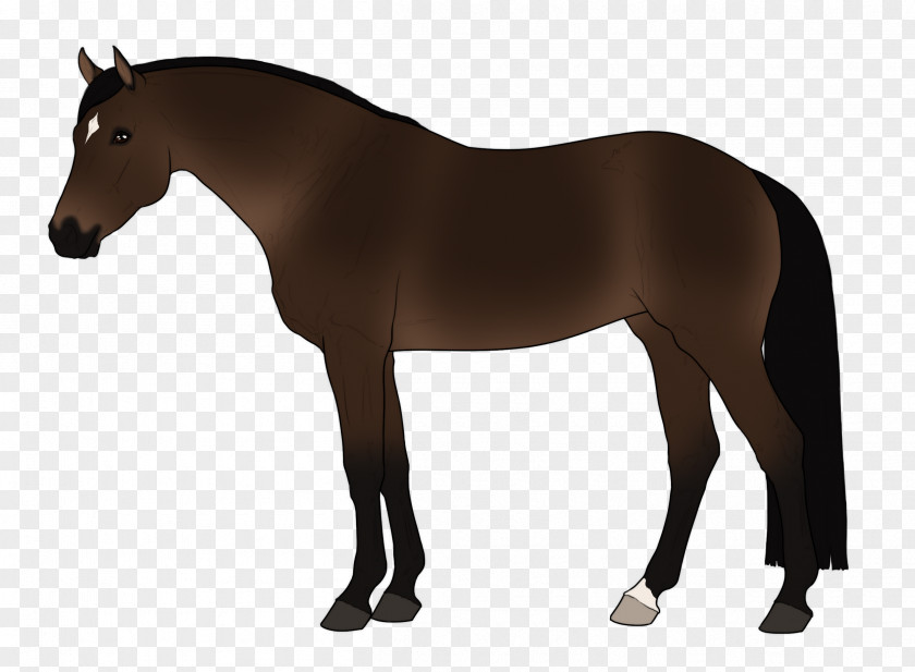 Horse Stallion Pony Gallop Silhouette PNG