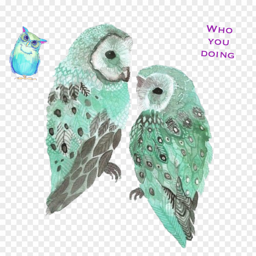 Owl Barn Bird IPhone Desktop Wallpaper PNG