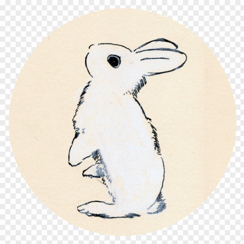 Plate Rabbits And Hares Rabbit Cartoon PNG