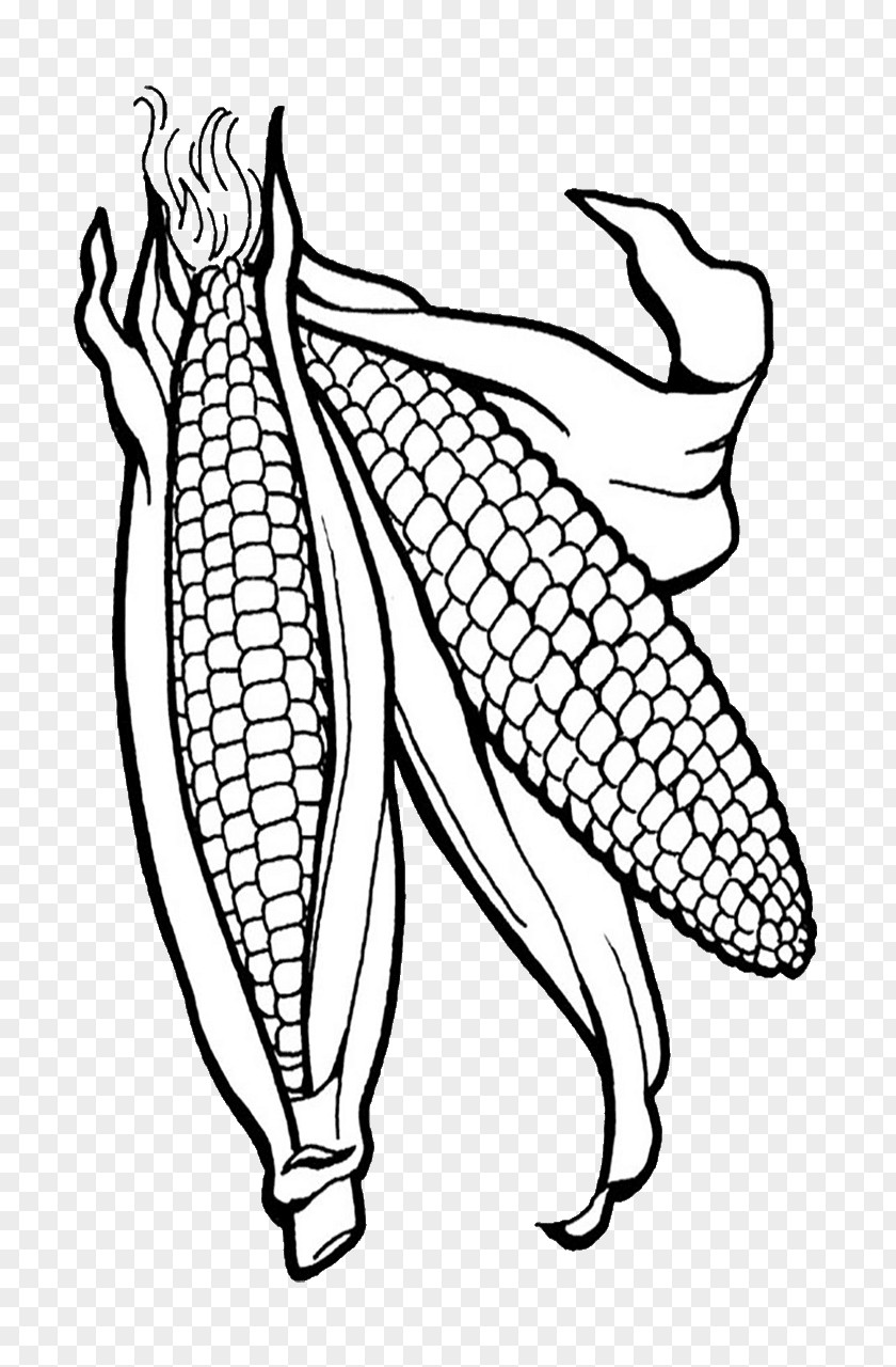 Popcorn Corn On The Cob Coloring Book Candy Maize PNG