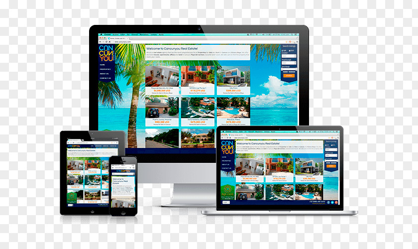 Web Design Development Page Responsive PNG