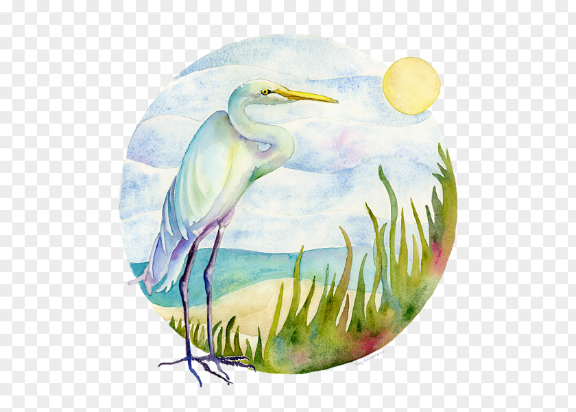 Amy Heron Painting Bird Art Egret PNG
