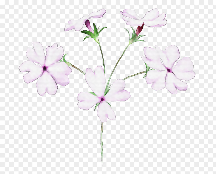 Flower Floral Design Illustrator PNG